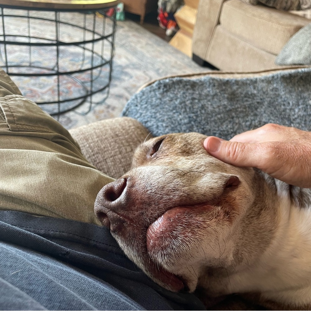 Meet your Posher, Chris